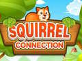 თამაშის Squirrel Connection