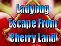 თამაშის Ladybug Escape From Cherry Land