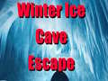 თამაშის Winter Ice Cave Escape