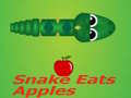 თამაშის Snake Eats Apple