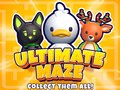 თამაშის Ultimate Maze! Collect Them All!