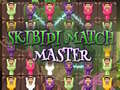 თამაშის Skibidi Match Master