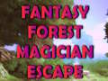 თამაშის Fantasy Forest Magician Escape