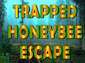 თამაშის Trapped Honeybee Escape