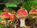 თამაშის Mushroom Forest Adventure