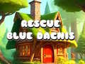 თამაშის Rescue Blue Dacnis