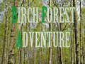 თამაშის Birch Forest Adventure