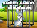 თამაშის Rabbits Carrot Conundrum