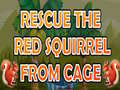 თამაშის Rescue The Red Squirrel From Cage