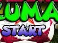თამაშის Zuma sport