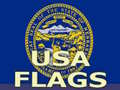 თამაშის Usa Flags 