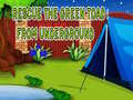 თამაშის Rescue The Green Toad From Underground
