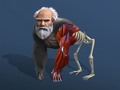 თამაშის Idle Evolution From Cell To Human