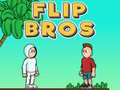 თამაშის Flip Bros