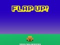 თამაშის Flap Up