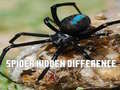 თამაშის Spider Hidden Difference