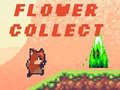 თამაშის Flower Collect