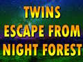 თამაშის Twins Escape From Night Forest