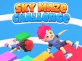 თამაშის Sky Maze Challenge