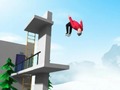 თამაშის Extreme Flip