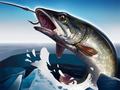 თამაშის Ice Fishing 3D