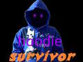 თამაშის Hoodie Survivor