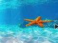 თამაშის Escape From Underwater Starfish