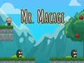თამაშის Mr Macagi