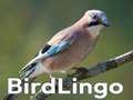 თამაშის BirdLingo