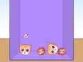 თამაშის Evolution of Cat Memes