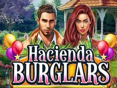 თამაშის Hacienda Burglars