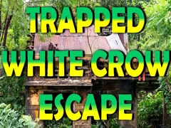 თამაშის Trapped White Crow Escape
