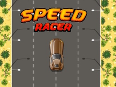 თამაშის Speed Racer