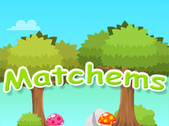 თამაშის Matchems