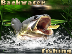 თამაშის Backwater Fishing
