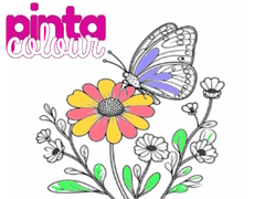 თამაშის Pinta Colour