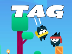 თამაშის Tag