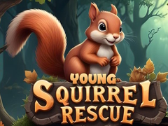 თამაშის Young Squirrel Rescue