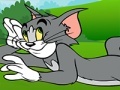 თამაშის Tom and Jerry ATV Adventure