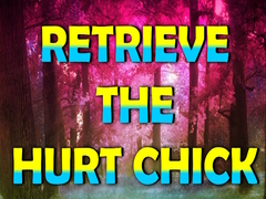 თამაშის Retrieve The Hurt Chick