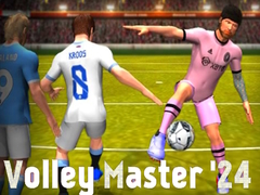 თამაშის Volley Master '24