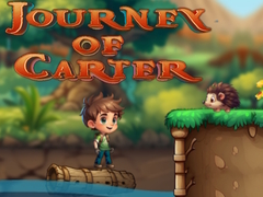 თამაშის Journey Of Carter