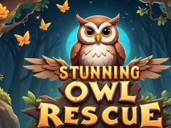 თამაშის Stunning Owl Rescue