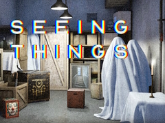 თამაშის Seeing Things