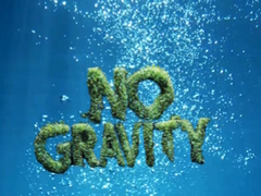 თამაშის No Gravity