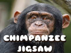 თამაშის Chimpanzee Jigsaw