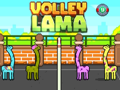თამაშის Volley Lama