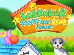 თამაშის Labrador Puppy Daycare Salon