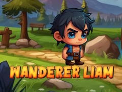 თამაშის Wanderer Liam