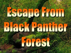 თამაშის Escape from Black Panther Forest